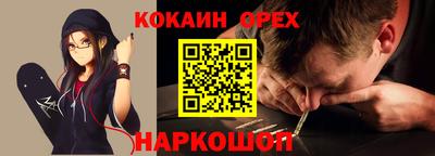 гашик Будённовск