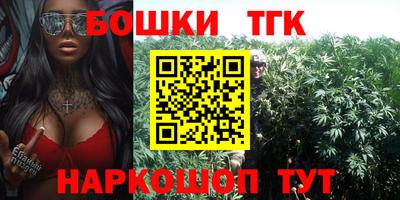 гашик Будённовск