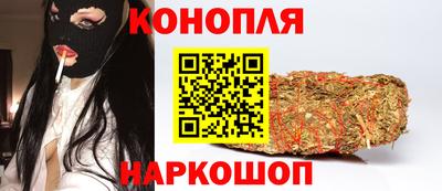 гашик Будённовск