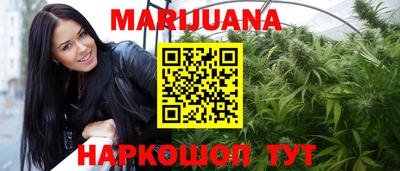гашик Будённовск