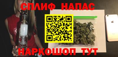 гашик Будённовск