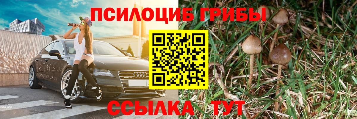 Псилоцибиновые грибы Magic Shrooms  Вход с VPN  закладка  Галлюциногенные грибы прущие грибы  Спасск-Дальний 